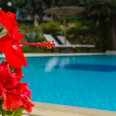 The Small Village 4* ماستيخاري