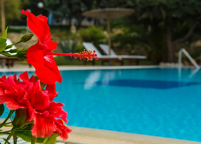 The Small Village 4* מסטיכרי